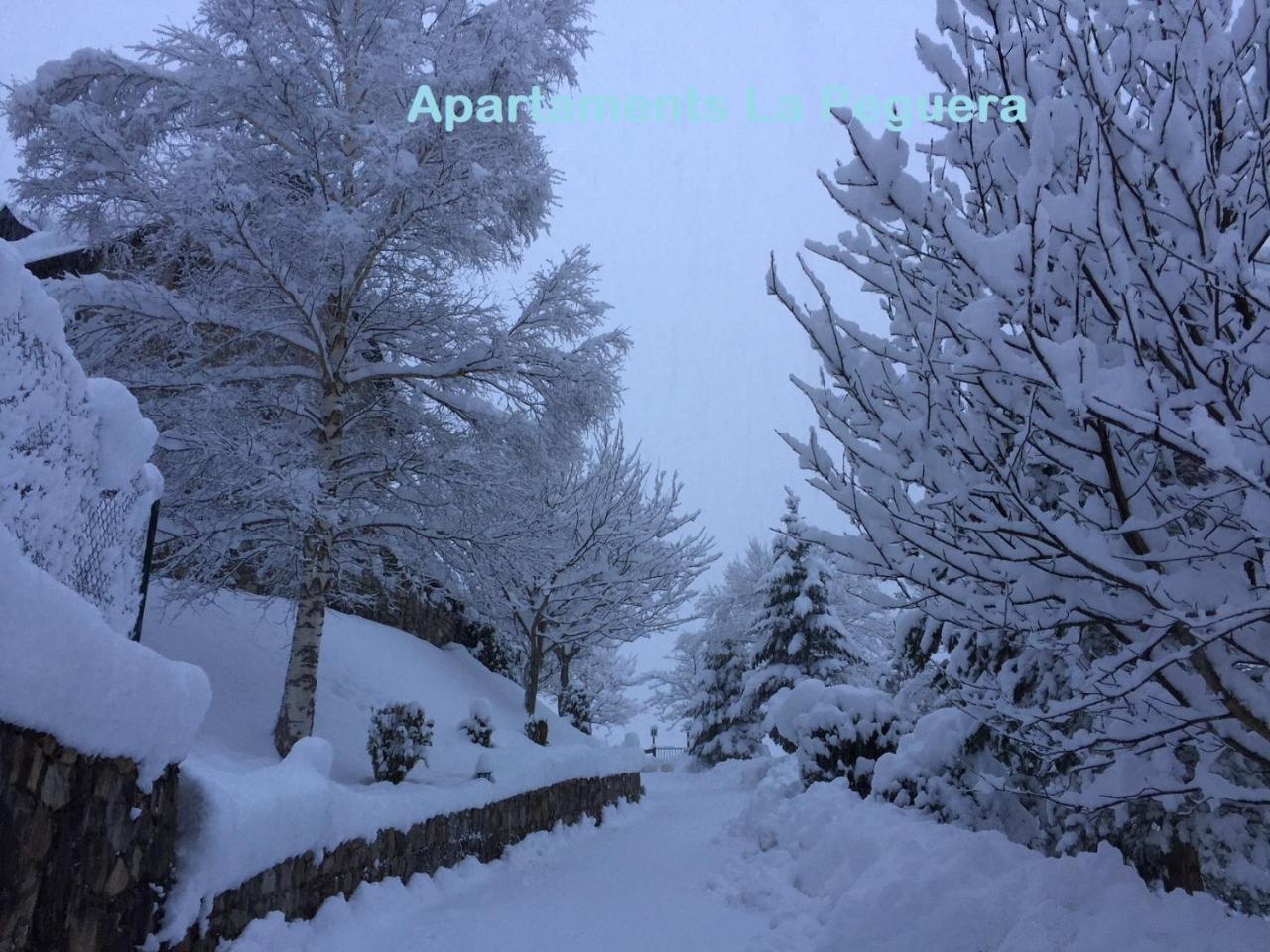 Apartaments La Peguera Bohí Exteriér fotografie