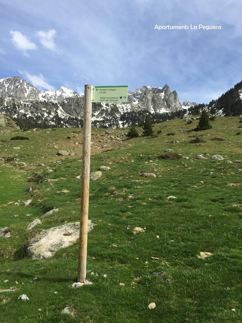 Apartaments La Peguera Bohí Exteriér fotografie
